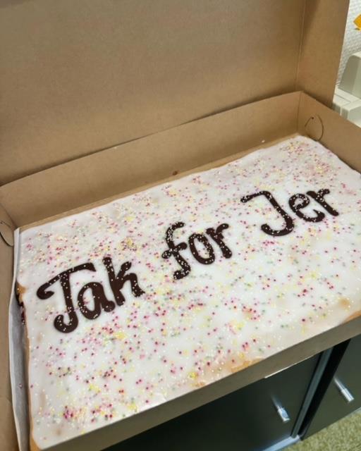 Stor Hindbærsnitte 16 personer